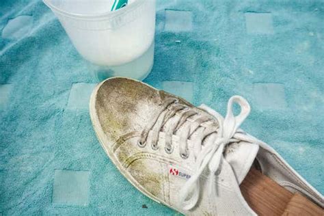 superga sneakers cleaner.